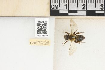 Media type: image;   Entomology 774136 Aspect: Labels
